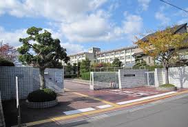 高校・高専　大阪府立阿武野高等学校（高校・高専）まで708m