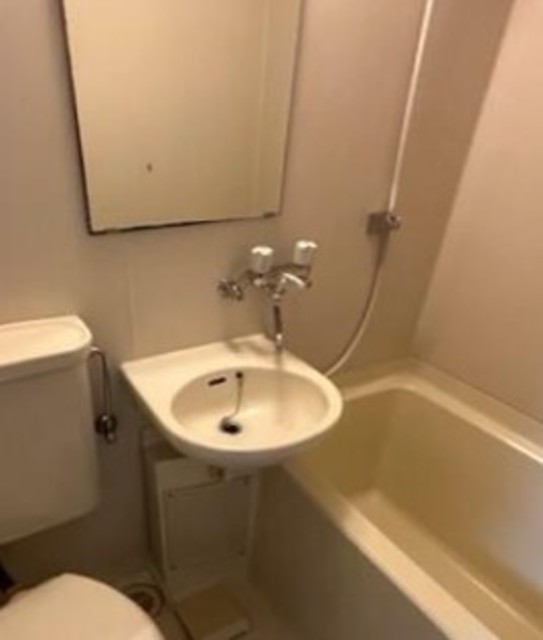 洗面設備　別部屋同仕様タイプ