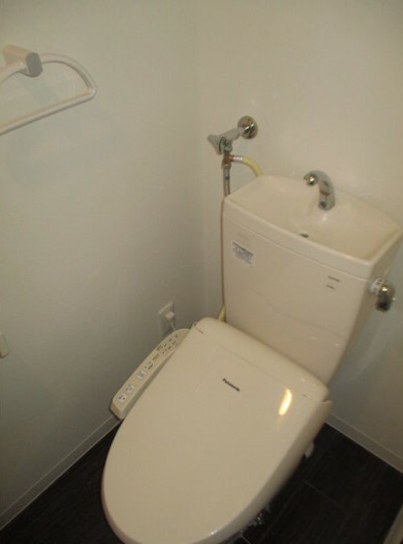 ドゥーディマンシュのトイレ写真