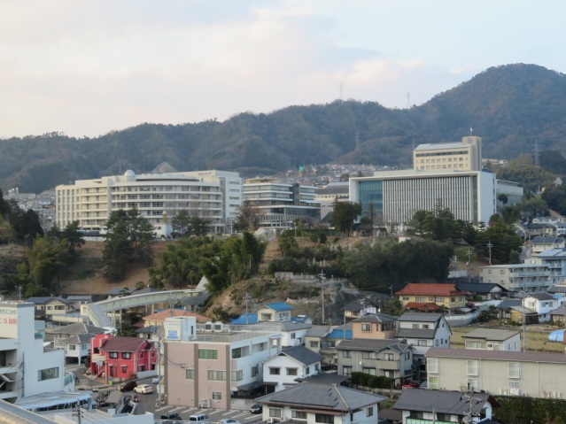 【広島市安佐南区上安のマンションの大学・短大】