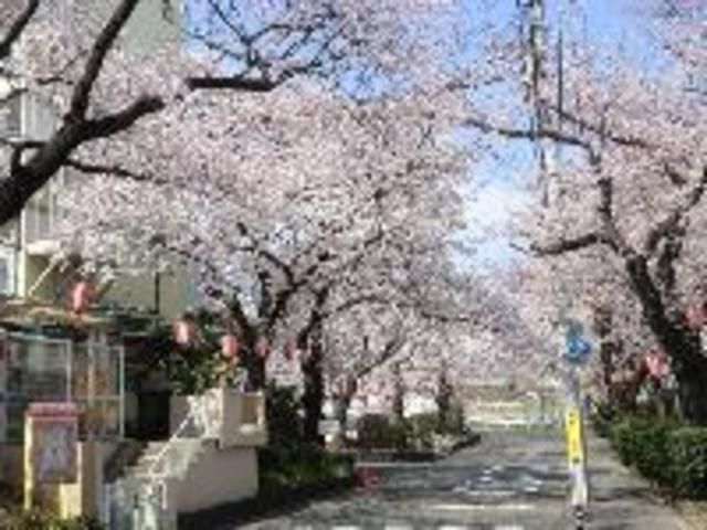 【日野市西平山のアパートの幼稚園・保育園】