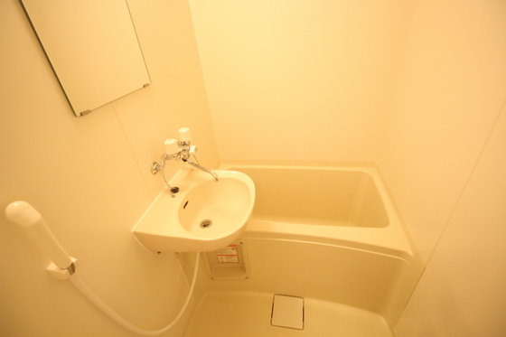 バス・シャワールーム　※別部屋の写真です