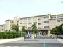 小学校　飯田小学校（小学校）まで218m
