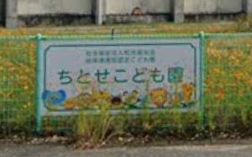 幼稚園・保育園　ちとせこども園（幼稚園・保育園）まで800m