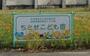 幼稚園・保育園　ちとせこども園（幼稚園・保育園）まで800m