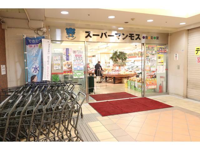 スーパー　スーパーマンモス（スーパー）まで1216m