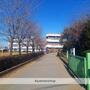 小学校　境町立境小学校（小学校）まで605m