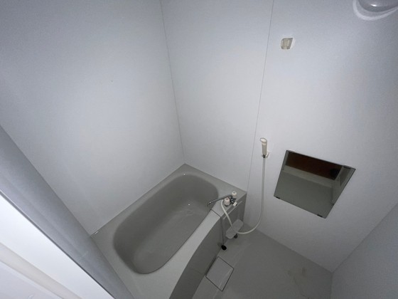 バス・シャワールーム　※別部屋の写真です