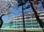 中学校　仙台市立宮城野中学校（中学校）まで313m