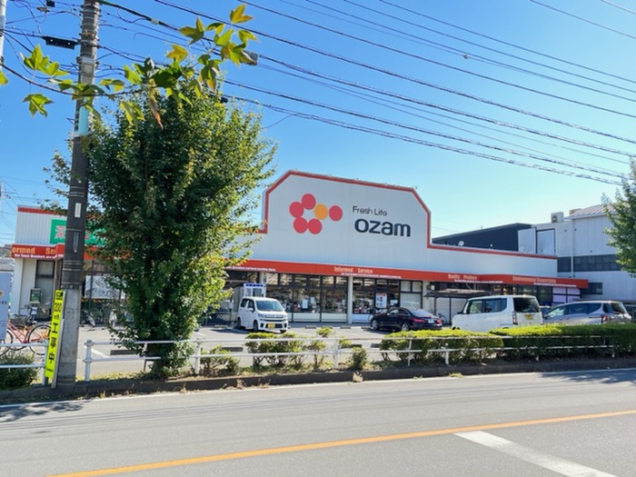 スーパー　オザム　けやき台店（スーパー）まで500m