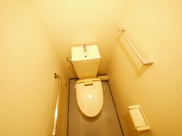 トイレ　落ち着いた色調のトイレです