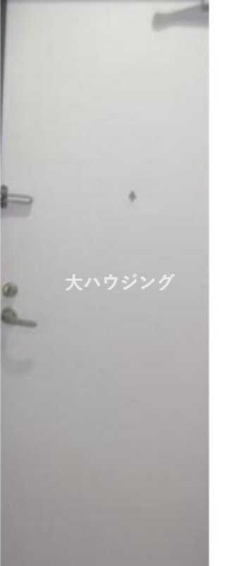 慶応マンションの玄関写真