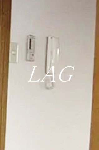 セキュリティ　インターフォンです。（同仕様です。）