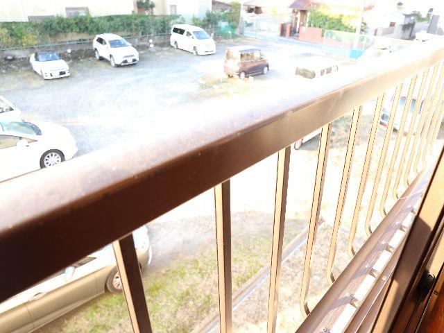 庭　たまにはお庭で休日を過ごしてみるのもよいかもしれません