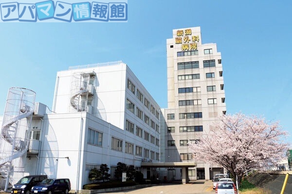 病院　泰庸会新潟脳外科病院（病院）まで893m