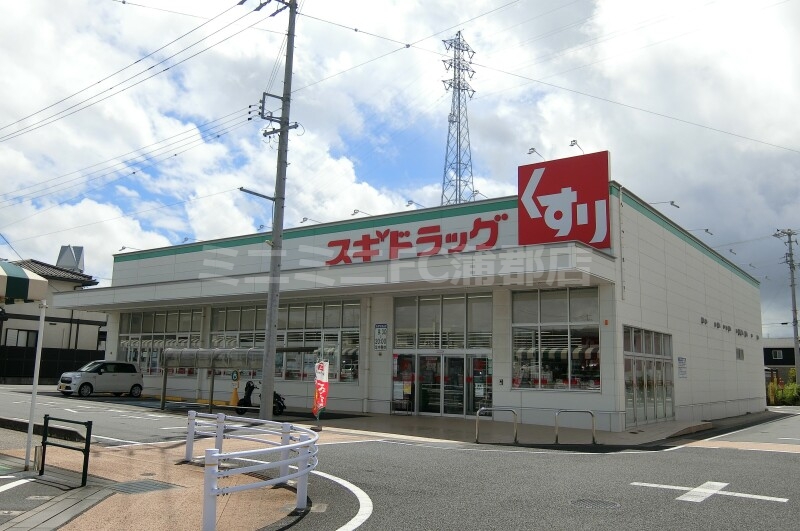 ドラックストア　スギドラッグフィール幸田店（ドラッグストア）まで1362m