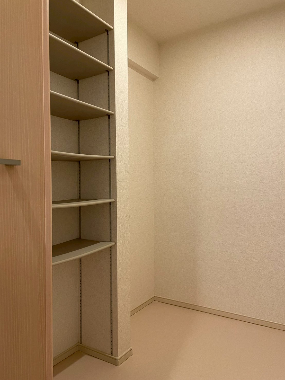 収納　ウォークインクローゼット