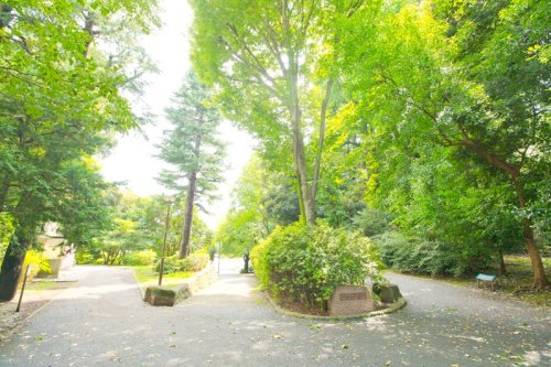 公園　江古田の森公園（公園）まで1254m