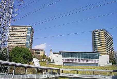 大学・短大　明星大学（大学・短大）まで593m