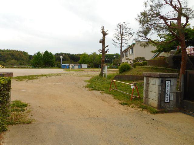 小学校　さくら小（小学校）まで1750m