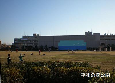 公園　平和の森公園（公園）まで883m