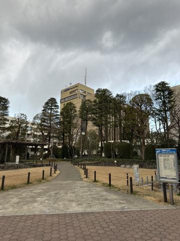 役所　江東区役所（役所）まで690m