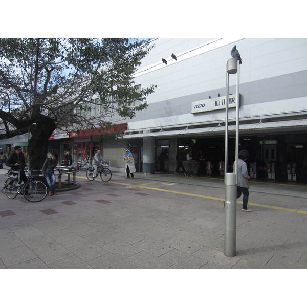 その他　仙川駅（その他）まで141m