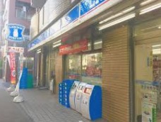 コンビニ　ローソン 広尾南店（コンビニ）まで1093m