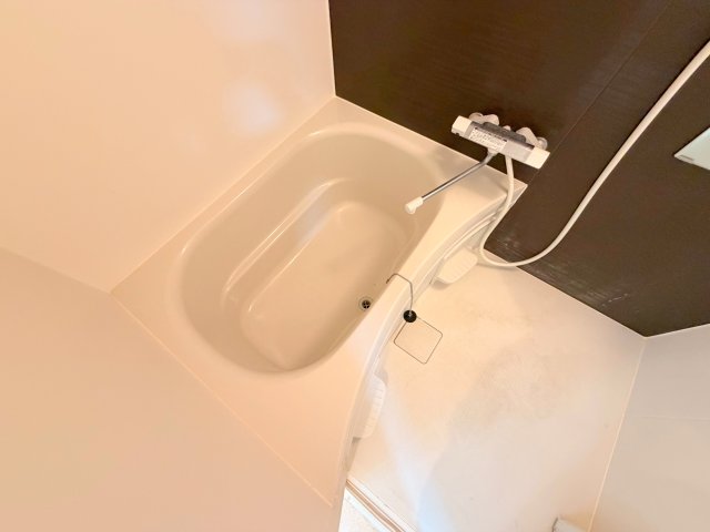 バス・シャワールーム　広めのお風呂は一日の疲れを癒してくれます。