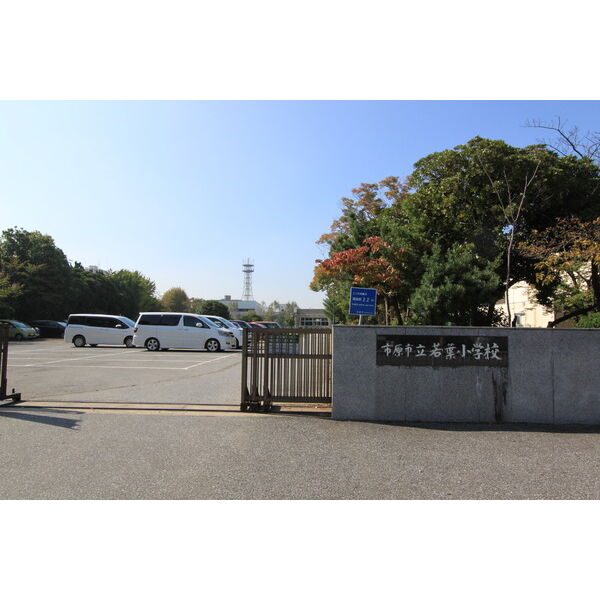 小学校　若葉小学校（小学校）まで850m