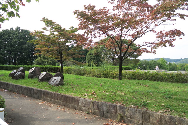 公園　富士見台公園（公園）まで250m