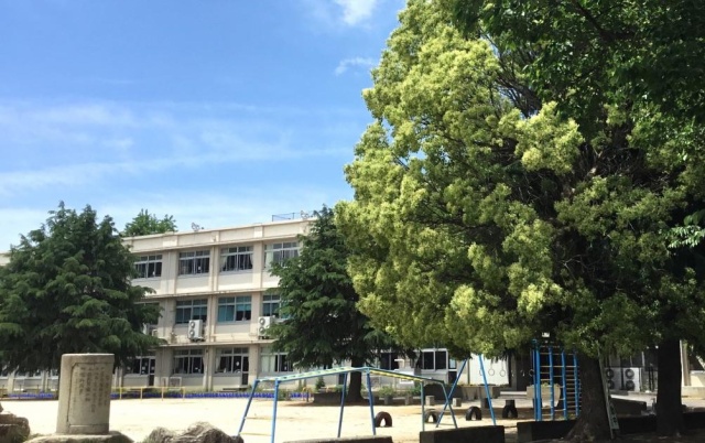 小学校　大津市立膳所小学校（小学校）まで1061m