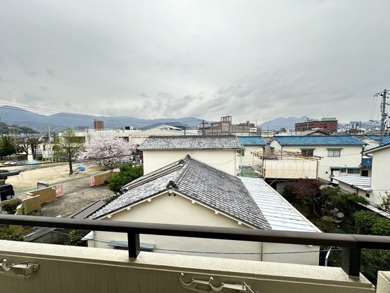 眺望　※別部屋の写真です