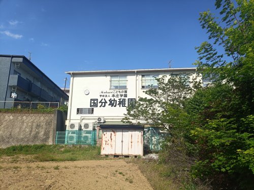 幼稚園・保育園　国分幼稚園（幼稚園・保育園）まで1239m