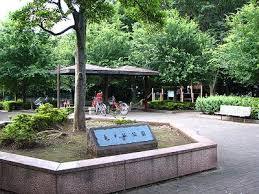 公園　亀ヶ谷公園（公園）まで1118m