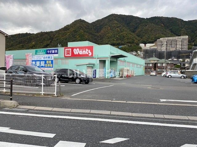 ドラックストア　有限会社つかさランドリー ウォンツ八木店（ドラッグストア）まで1249m