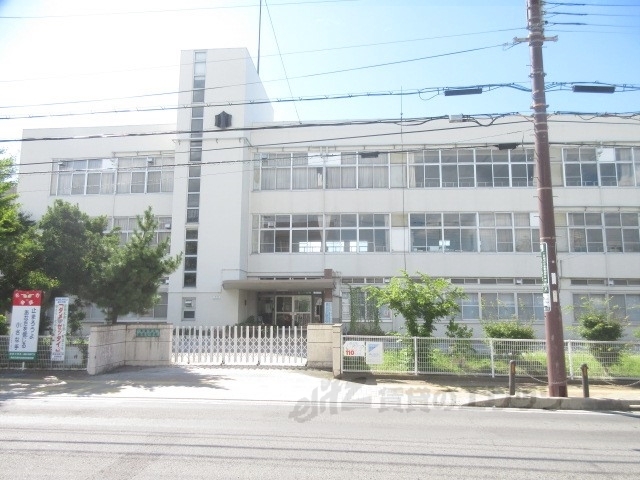 小学校　城東小学校（小学校）まで900m