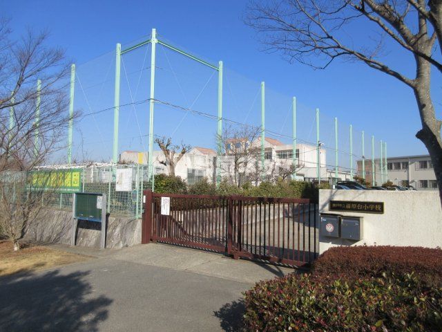 小学校　神戸市立藤原台小学校（小学校）まで326m