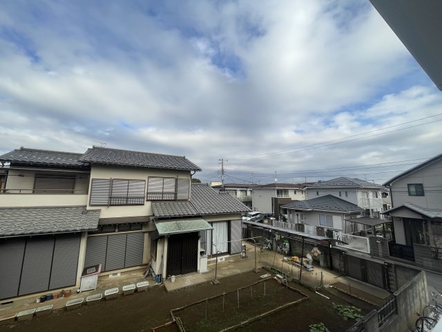 子犬と春風のダイアリーのその他写真
