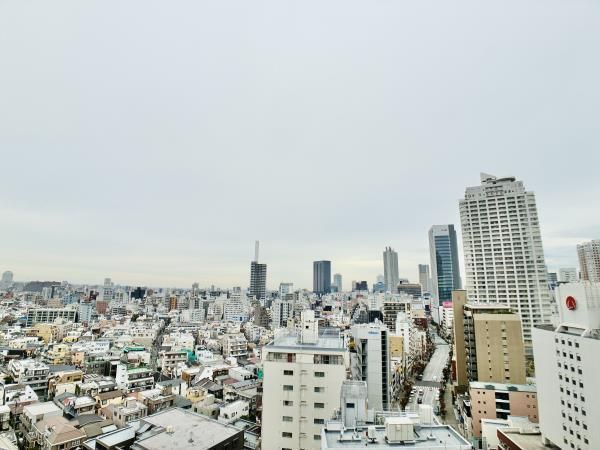 眺望　（別タイプ参考写真）Ｂｒｉｌｌｉａ　Ｔｏｗｅｒ　池袋　Ｗｅｓ