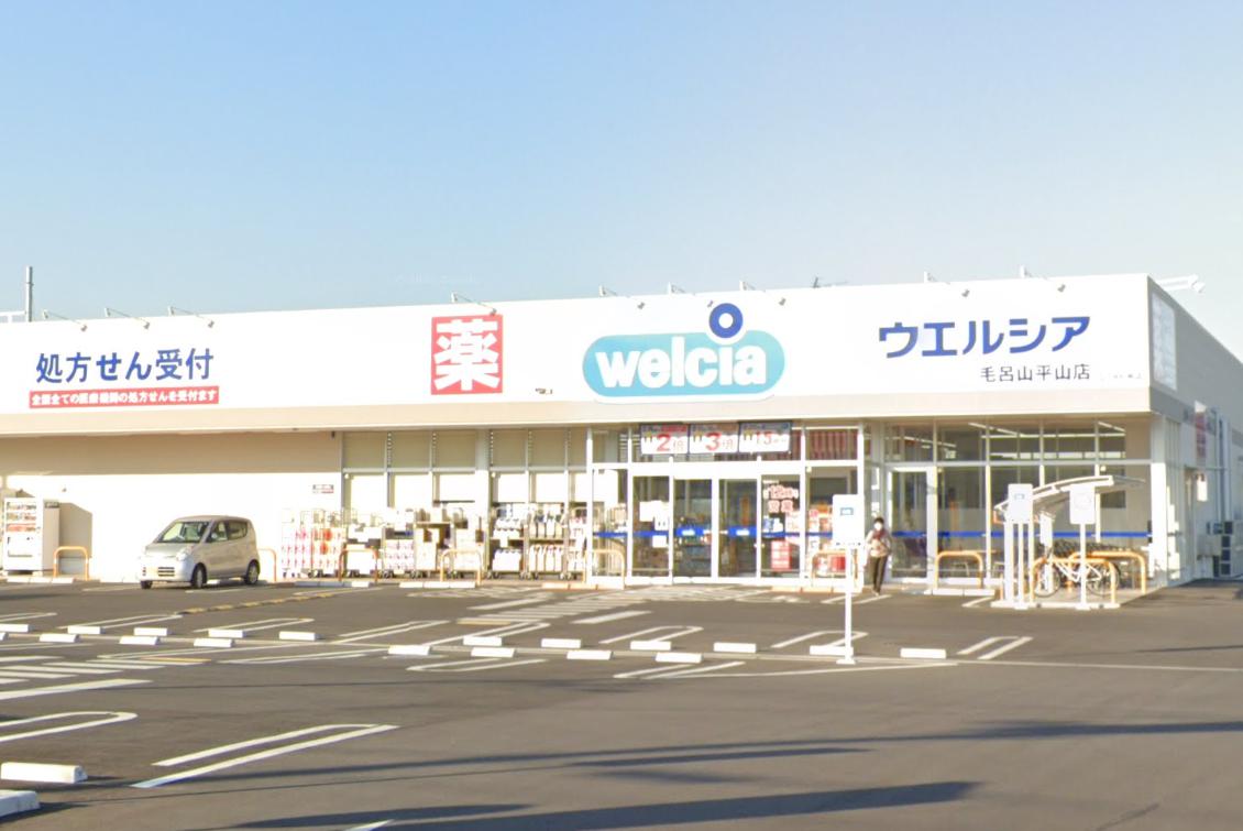 ドラックストア　ウエルシア毛呂山平山店（ドラッグストア）まで666m