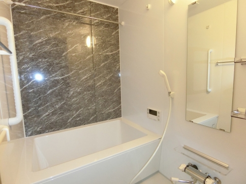 バス・シャワールーム　※お部屋１０２号室の写真になります。別のお部屋になりますので