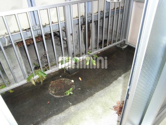 マンションセレスの内装写真