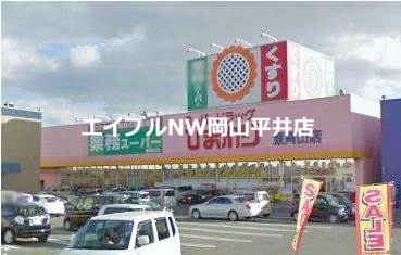 【岡山市中区長利のアパートのドラックストア】