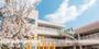 幼稚園・保育園　中野幼稚園（幼稚園・保育園）まで519m