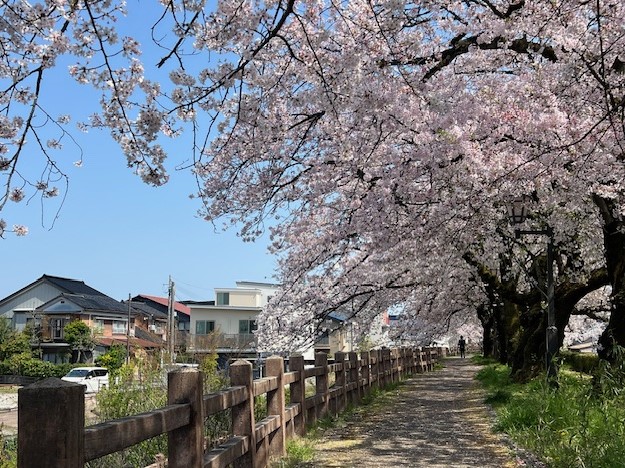 【プランドール安野屋一丁目公園のその他】