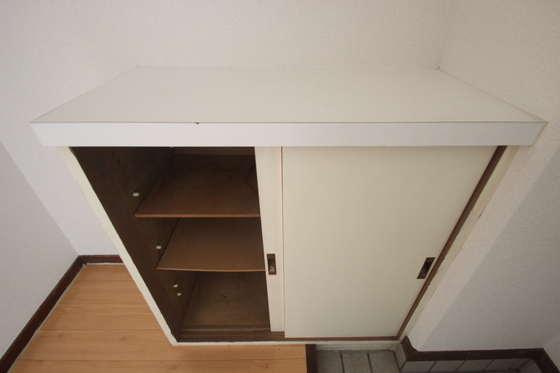 玄関　※別部屋の写真です