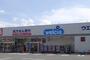 ドラックストア　ウエルシア姫路網干店（ドラッグストア）まで254m
