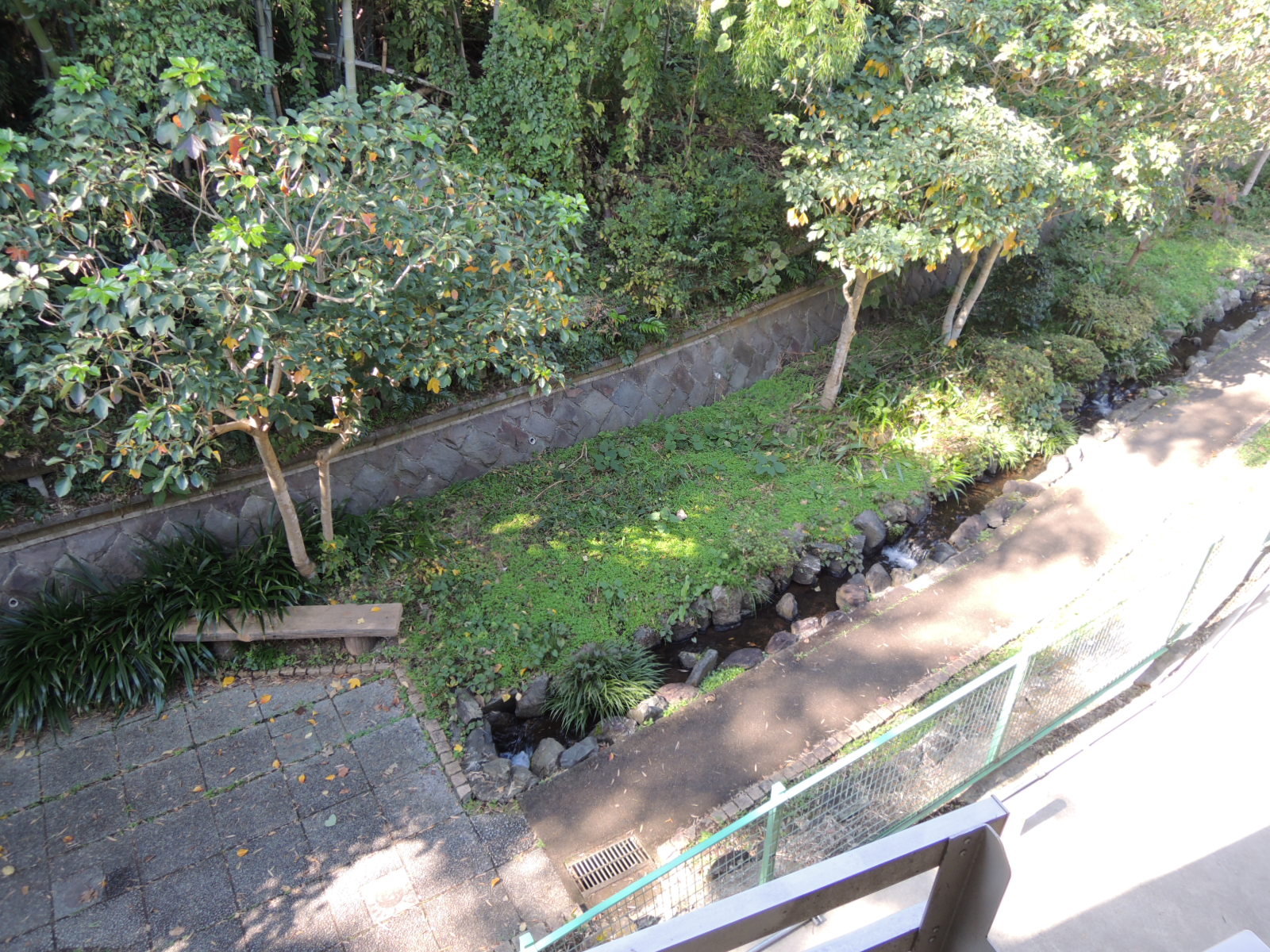 眺望　建物の裏側には小川があり、緑溢れるエリアです