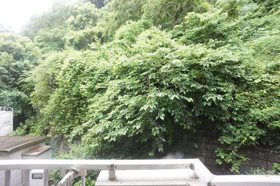 眺望　緑豊かな環境です！